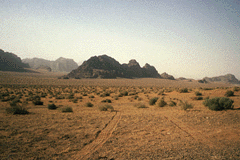 Wadi Rum